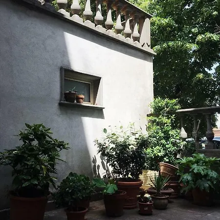 Anna's Viterbo