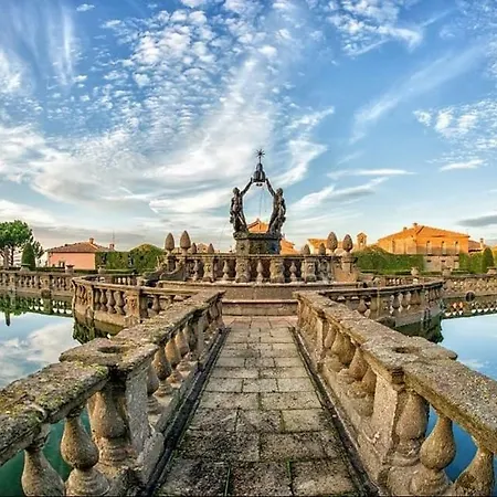 Anna's * Viterbo